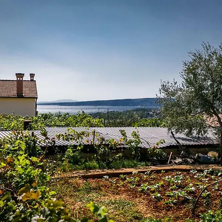 Daire Mate Balote 54 *